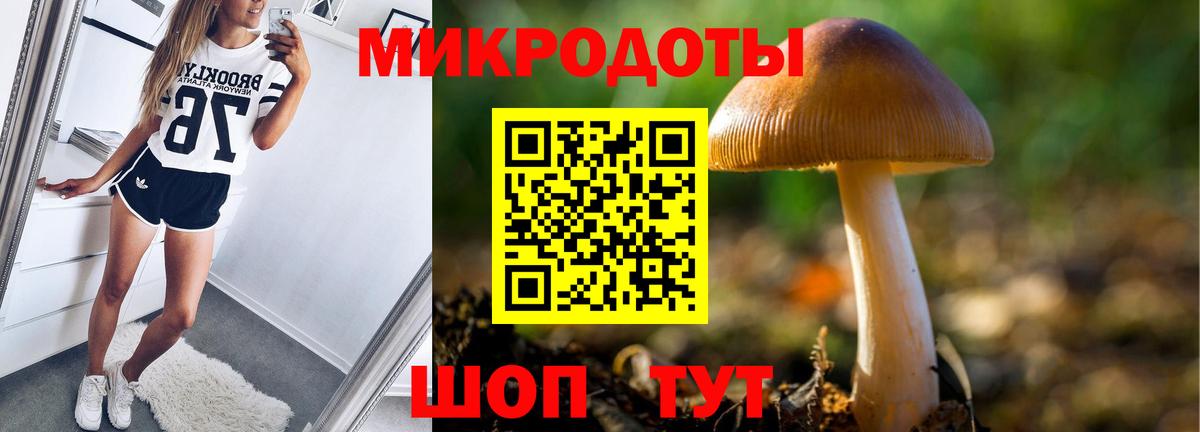 Артём  Галлюциногенные грибы GOLDEN TEACHER  Вход с VPN 